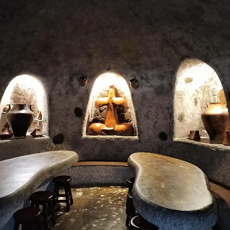 ヴィラ Duplex Anfi Topaz