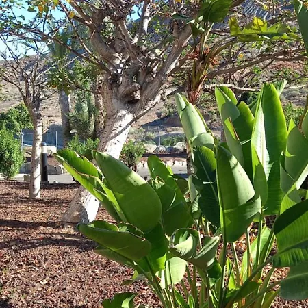 ヴィラ Duplex Anfi Topaz