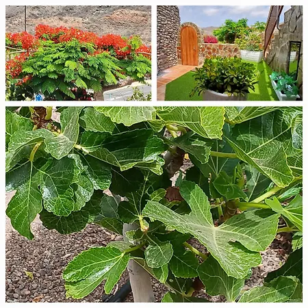 Duplex Anfi Topaz ヴィラ Mogán